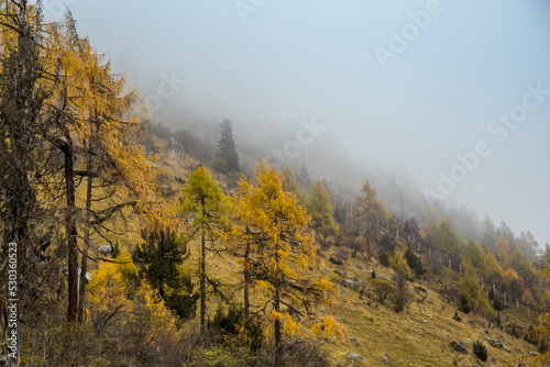 autumn scenery in Bipenggou valley InSIchuan China