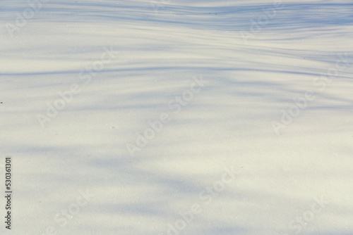 Shadows from trees in the snow on a sunny frosty day