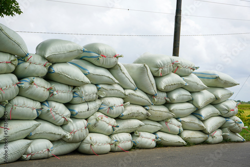Pile of white rice sacks in green rice fields during harvest season.