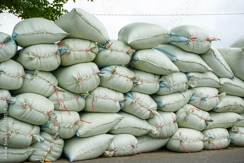 Pile of white rice sacks in green rice fields during harvest season.