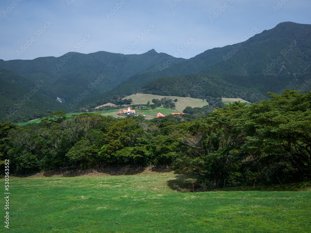 Obraz premium 山の上の牧場