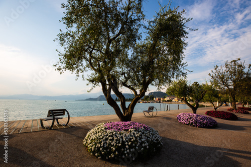 Seafront promenade in Bardolino on Lake Garda, with trees and flowers in the sunset photo