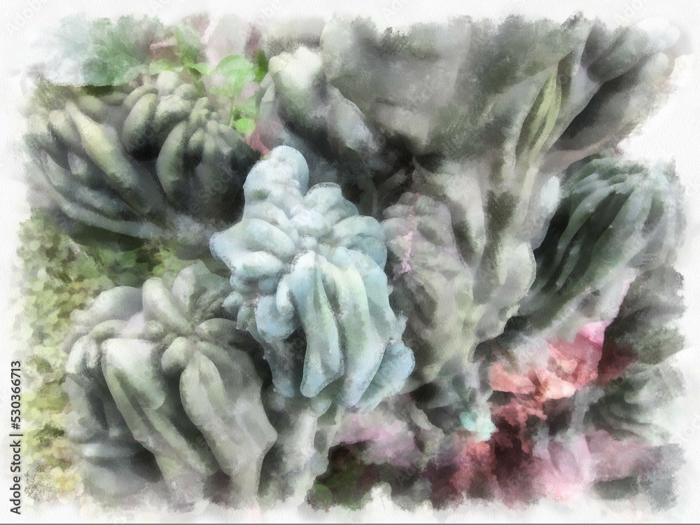 Obraz premium The surface of the cactus watercolor style illustration impressionist painting.