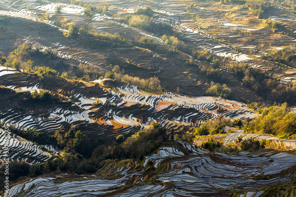 terraced fields in Yunnan China