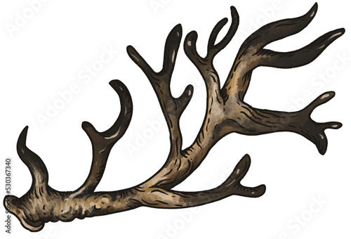 Vintage Deer Antlers Horn 
