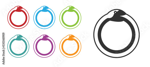 Black Magic symbol of Ouroboros icon isolated on white background. Snake biting its own tail. Animal and infinity, mythology and serpent. Set icons colorful. Vector