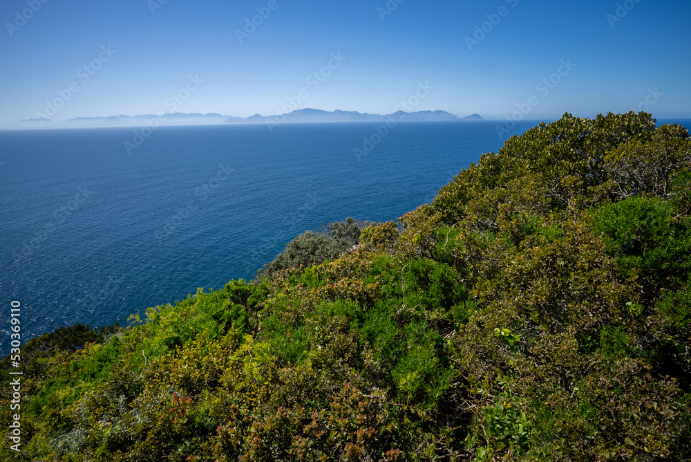 At Cape Point, a view of green vegetation on a cliff top to the sea and the Cape Peninsula in the distance.