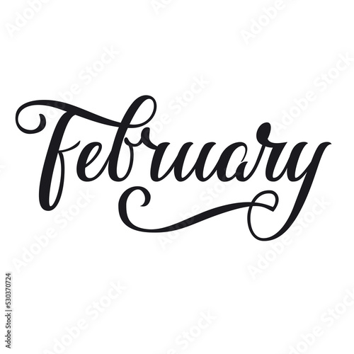 Handwriting Vector Calligraphic Letter. Lettering winter month typography. February. Ink illustration vintage brush. Word for calendar, bullet journal, monthly organizer. Isolated on white background