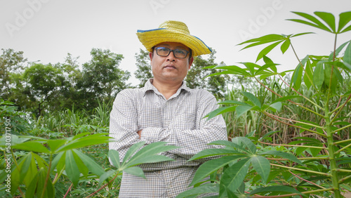 Portrait of a farmer standing in a cassava field. The concept of modern farming work and happiness at work.