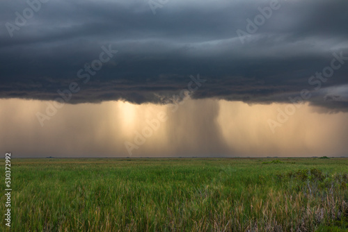 Storm at the Everglades National Park, Coral Springs, Florida, USA photo