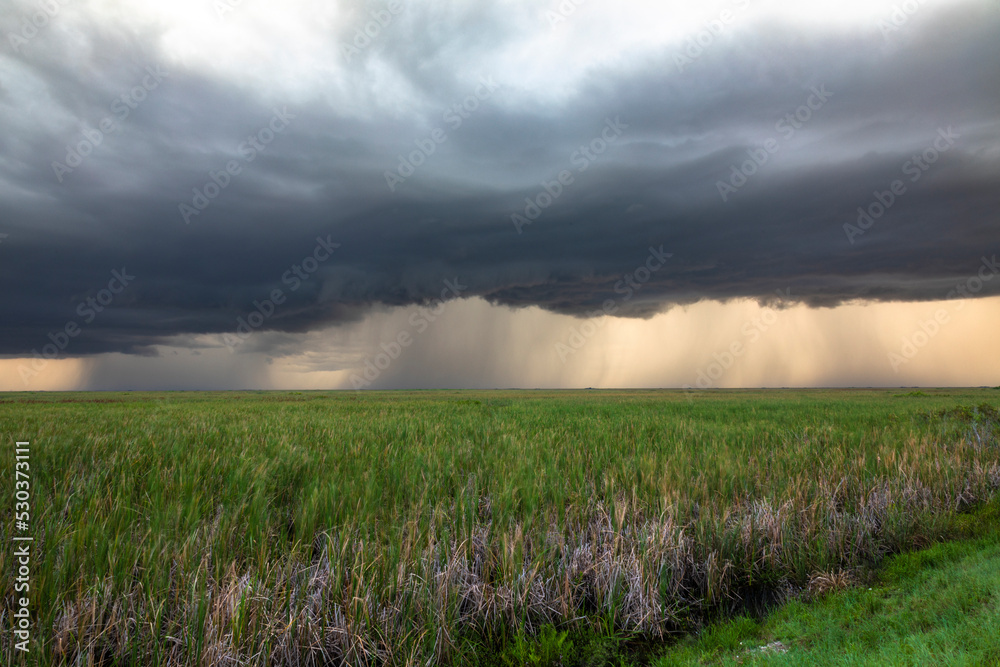 Storm at the Everglades National Park, Coral Springs, Florida, USA