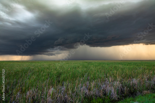Storm at the Everglades National Park, Coral Springs, Florida, USA