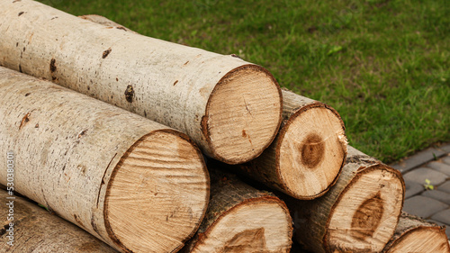 stacked wood blocks. cut trees