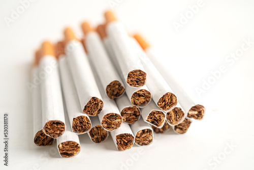 Cigarette, tobacco in roll paper with filter tube isolated on white background, No smoking concept.