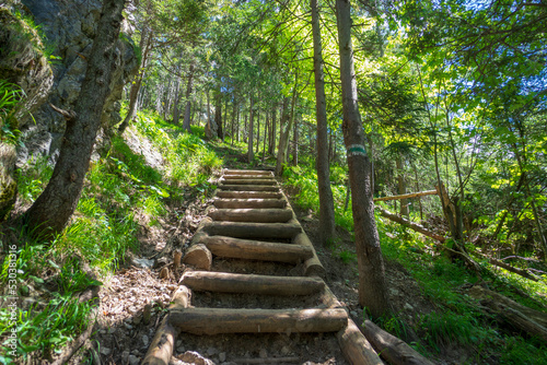 Green hiking trail on Nosal mountain in the Western Tatras.