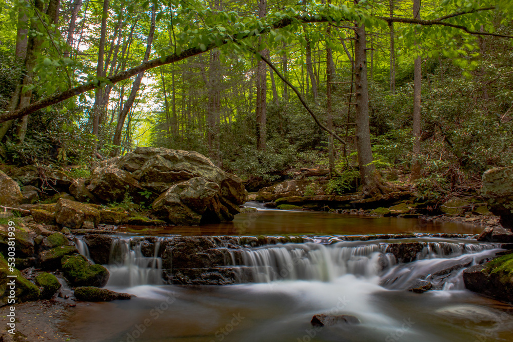 waterfall in the forest waterfall in the forest