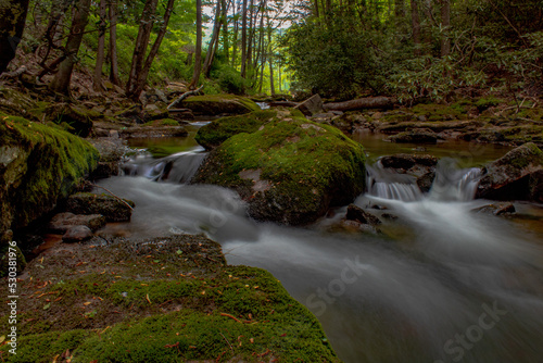 waterfall in the forest