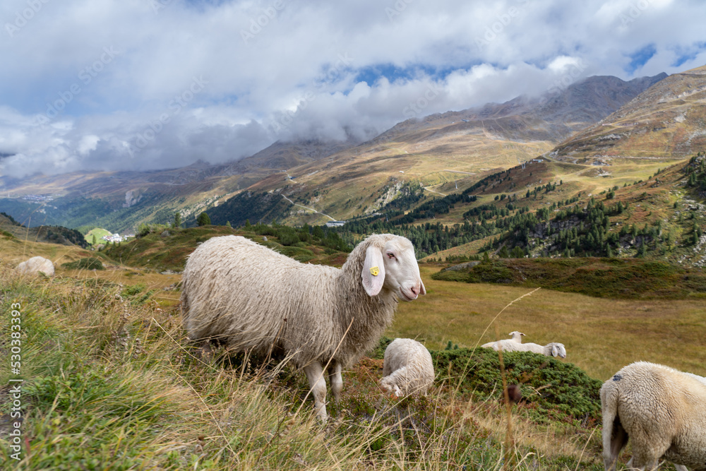 Ötztal im Sommer September