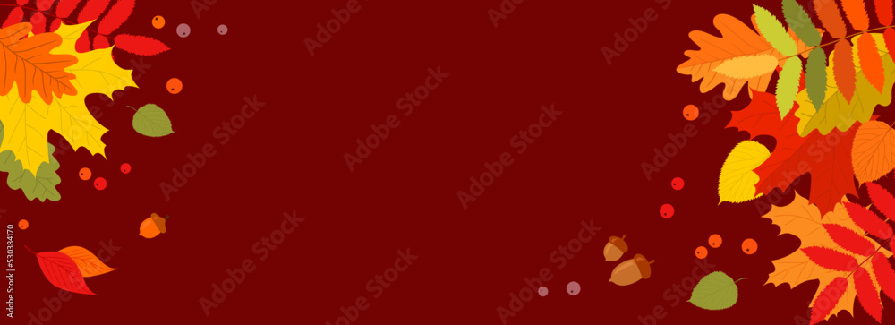 Autumn banner with multicolored autumn leaves, berries and acorns on a red burgundy background with a copy space. Flat vector illustration