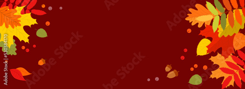 Autumn banner with multicolored autumn leaves, berries and acorns on a red burgundy background with a copy space. Flat vector illustration © Alrika 