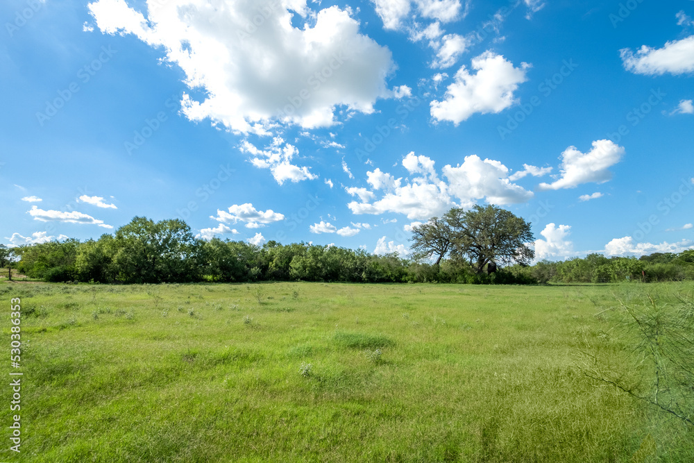 texas countryside farmland 