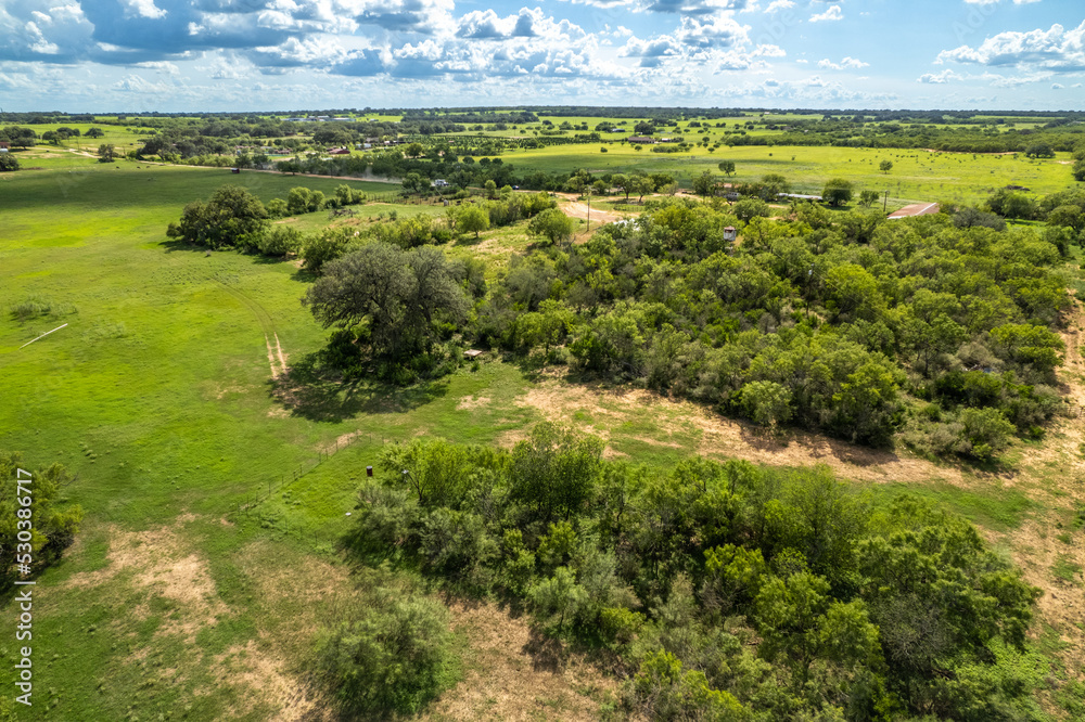 Green farm land in Texas