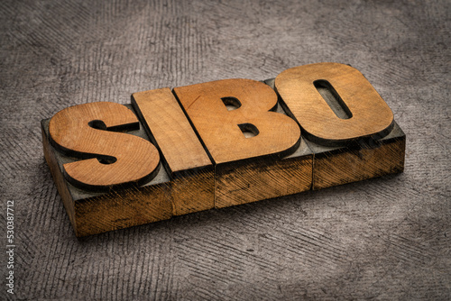 SIBO (small intestinal bacterial overgrowth) - word abstract in vintage letterpress wood type, digestion and gut health concept photo