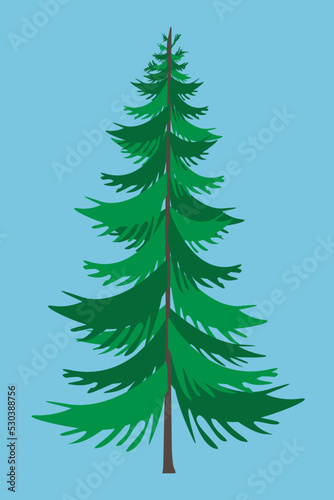 Green pine tree vector