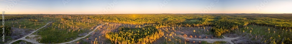 Aerial Morning Over Logging Wilderness Area In Northern Ontario Canada