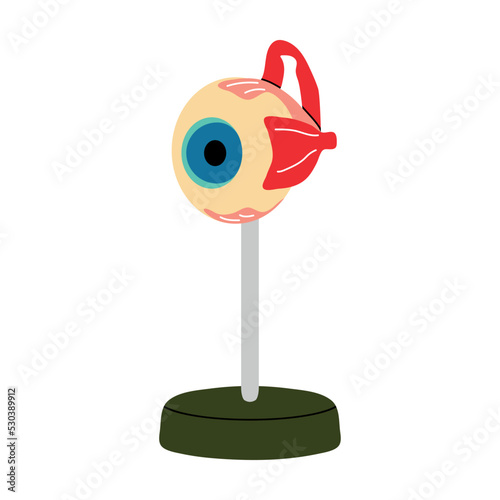 Anatomy of the eye in flat vector line style. Model of human organ on stand, cartoon illustration. Optics, eyeball, pupil, retina, muscle, vision, health, medicine, biology, body, education, graphic.