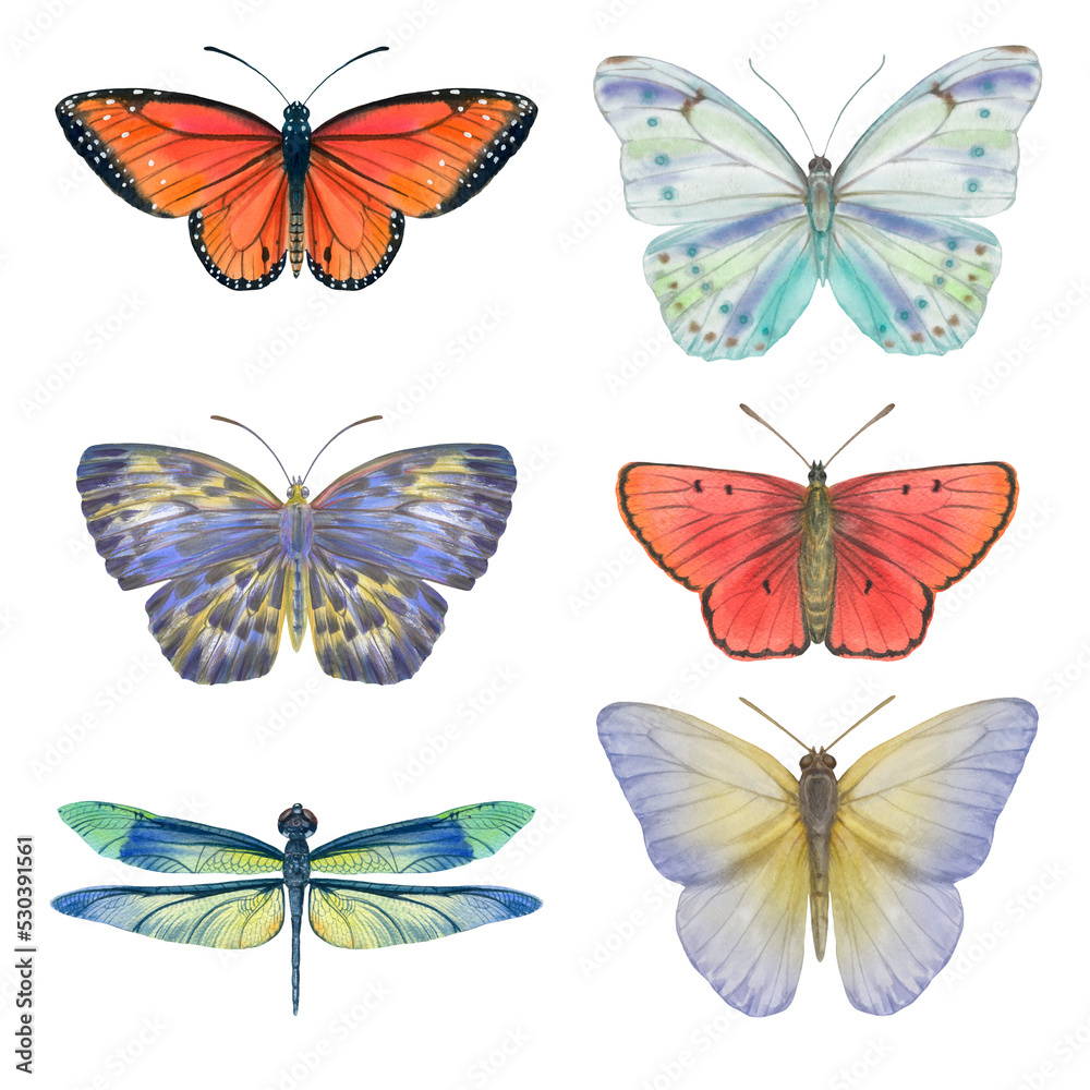 Obraz premium Set of watercolor butterflies isolated on transparent background. Butterflies drawn on paper for design, print, print, wallpaper, textile.