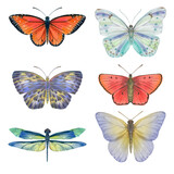 Set of watercolor butterflies isolated on transparent background. Butterflies drawn on paper for design, print, print, wallpaper, textile.
