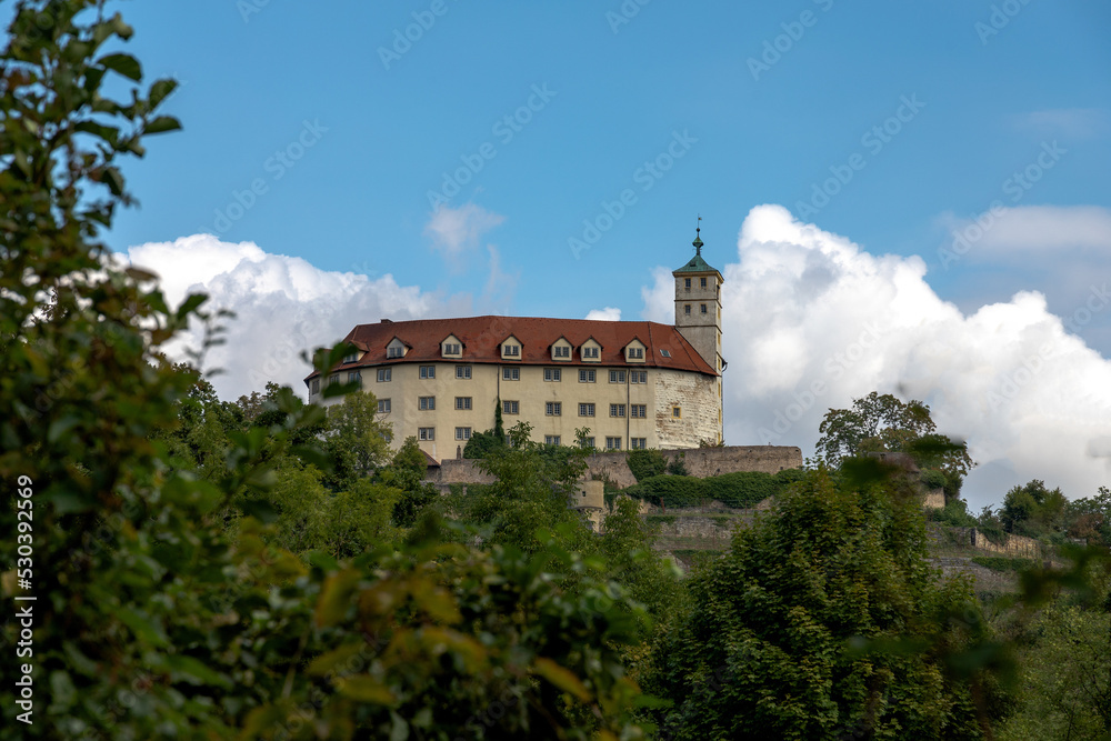 Kaltenstein Castle in Vaihingen with blue sky and blurred foreground Kaltenstein Castle in Vaihingen with blue sky and blurred foreground