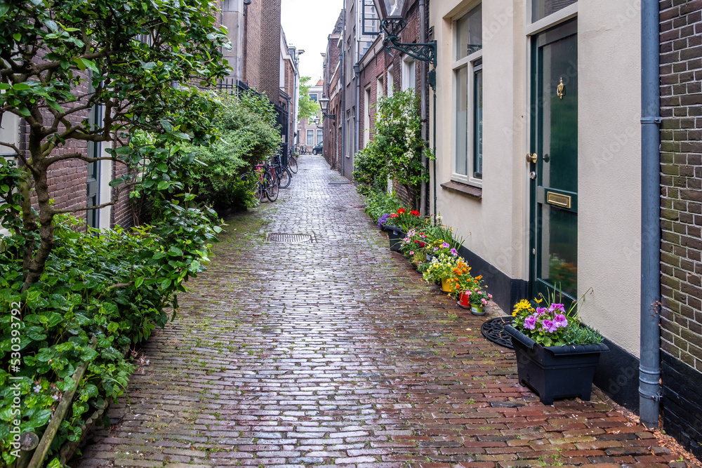 Leiden Netherlands, brick wall building, cobblestone path, parked bicycle, green plants, flowers.