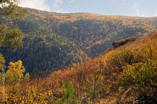 Autumn landscape on a sunny day - forested mountains, rocks, lush grass.