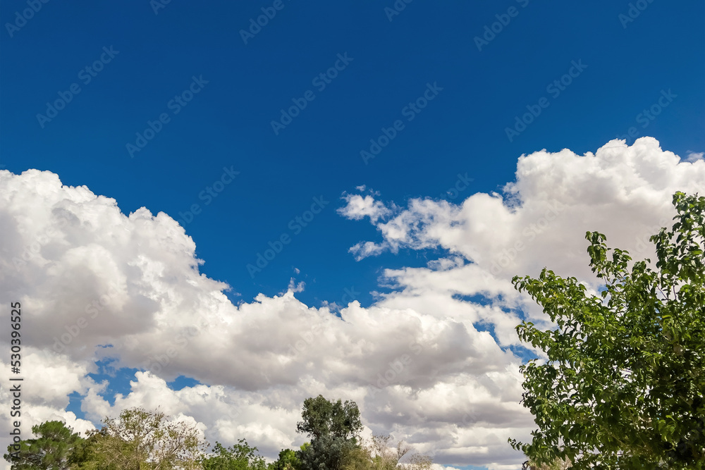 Cumulus clouds with clear blue sky and green trees Cumulus clouds with clear blue sky and green trees