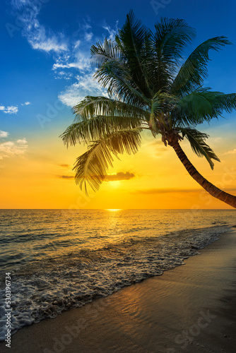 Fototapeta Naklejka Na Ścianę i Meble -  Beautiful Landscape Ocean Summer sunset Natural background Vertical 