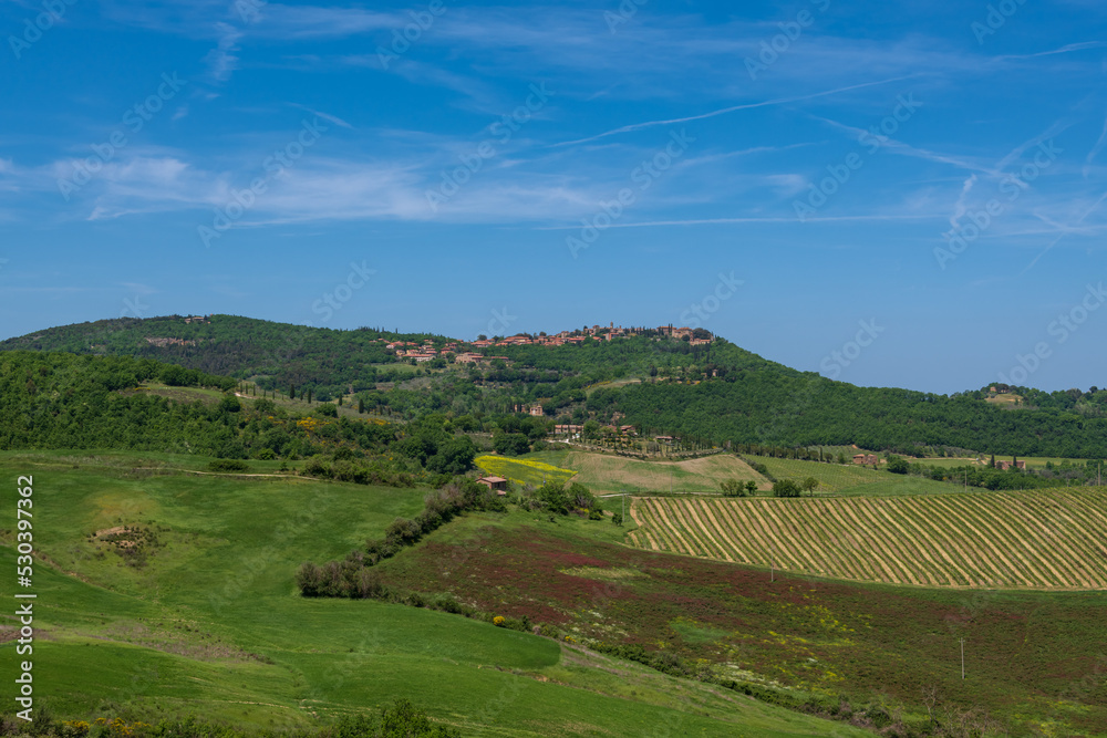 Farmland Surrounding Ancient Montefollonico
