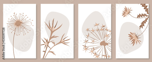 Abstract botanical wall art set. Vector illustration in scandinavian design