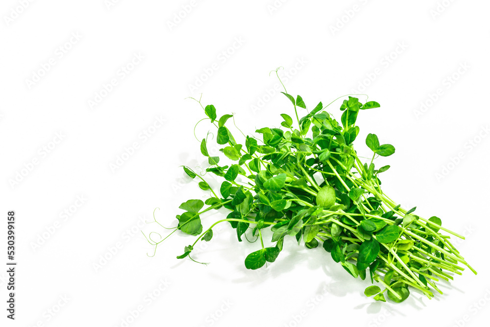 Sprouts of a young pea. Fresh food ingredient for a healthy lifestyle. Sprouts of a young pea. Fresh food ingredient for a healthy lifestyle.