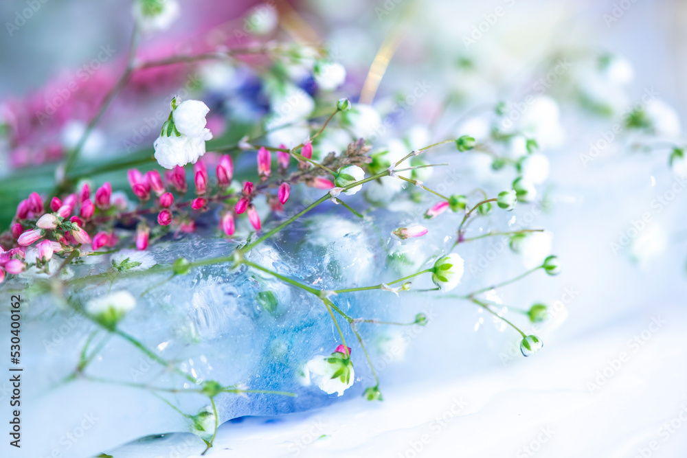 A beautiful bouquet of flowers in ice on a light background.