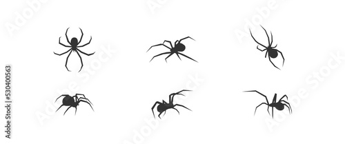 Halloween spider set icons. Silhouette of black insect icon. Vector holiday october poster, flat horror