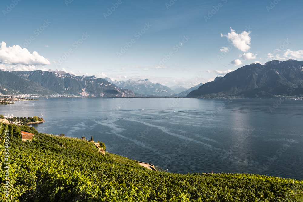 vue depuis le vignoble de Lavaux sur le lac Léman et les Alpes