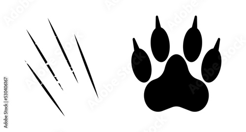 Paw with claws. Scratching claw. Animal attack. Vector.