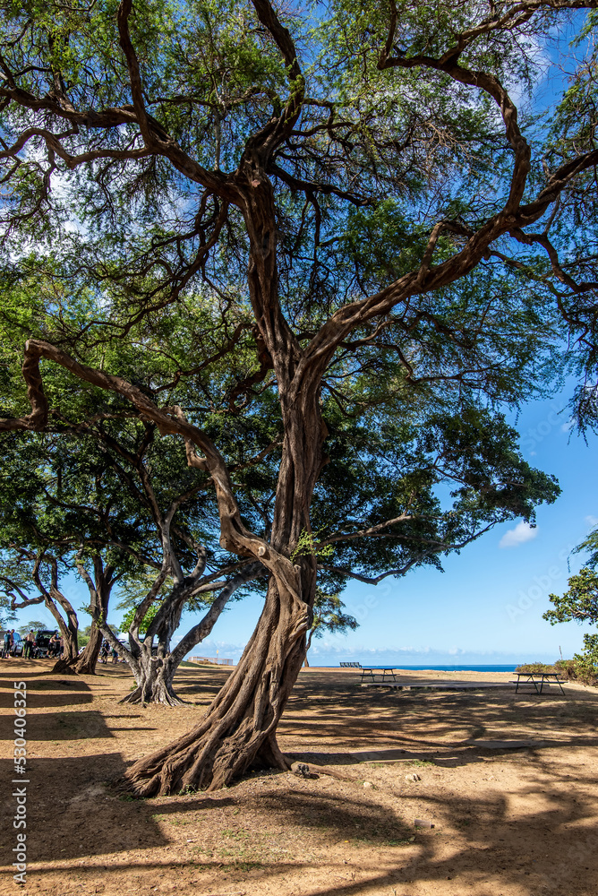 overlook on Pacific Ocean from scenic Electric Beach, on the west coast of Oahu Island, Hawaii.