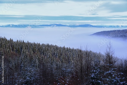 Winter landscape with low clouds and snow in the Carpathian Mountains
