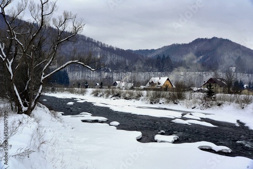 winter landscape with river between snow covered trees and mountains