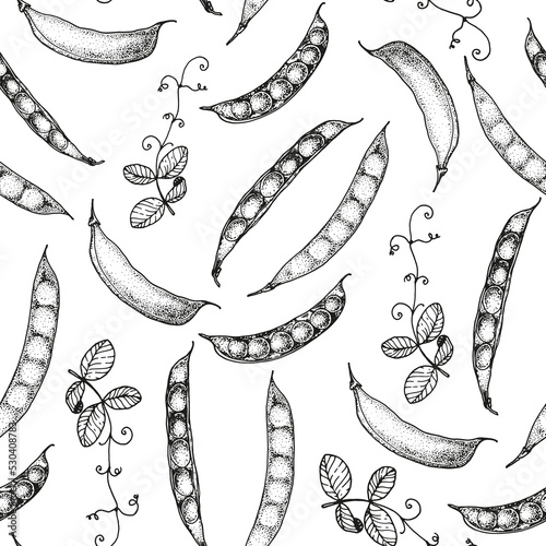 Green pea seamless pattern. Hand drawn background. Vector illustration. Hand drawing sketch illustration. Green pea vegetable hand drawn backdrop.