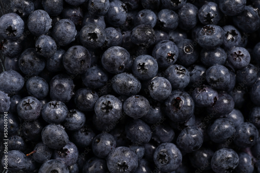 a heap of fresh ripe wet blueberries filling the frame, selective focus, top view, background a heap of fresh ripe wet blueberries filling the frame, selective focus, top view, background