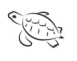 Żółw ilustracja